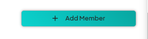 A button labeled '+ Add Member' in teal color, used for confirming the addition of a new team member.